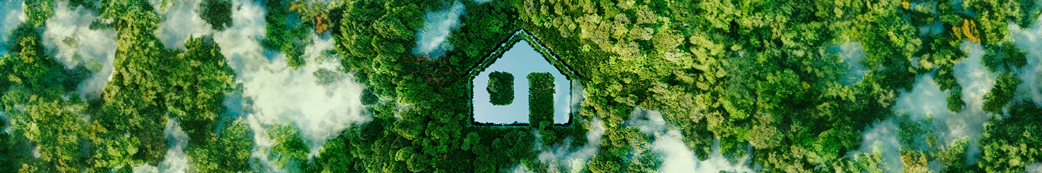 5 técnicas de Construção Sustentável para inserir no projeto